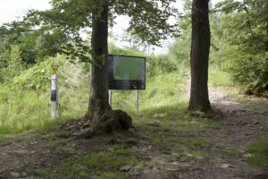 Start des Trails im Emser Bikepark